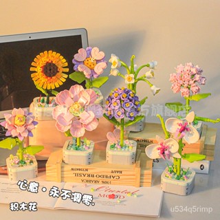🎉臺灣出貨🎉花束禮盒 DIY仿真花擺件 積木玩具禮物 相容樂高積木芙蓉花朵植物風信子盆栽拼裝花束擺件女孩情人節禮物