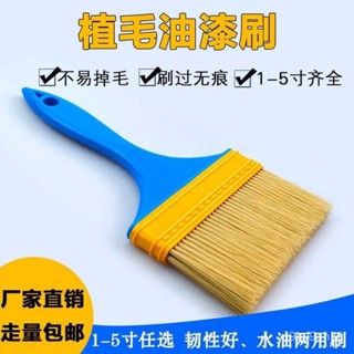 🔥臺灣熱賣🔥塑膠毛刷油漆刷工業用硬毛軟毛小尼龍刷子清潔不掉毛油畵燒烤排刷 無痕油漆刷膠水刷 水泥漆 乳膠漆刷 彈泥刷