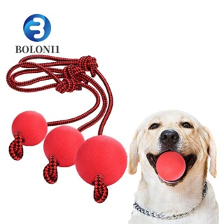 Dog Ball for Small Dogs On a Rope Solid Rubber Chew Toys