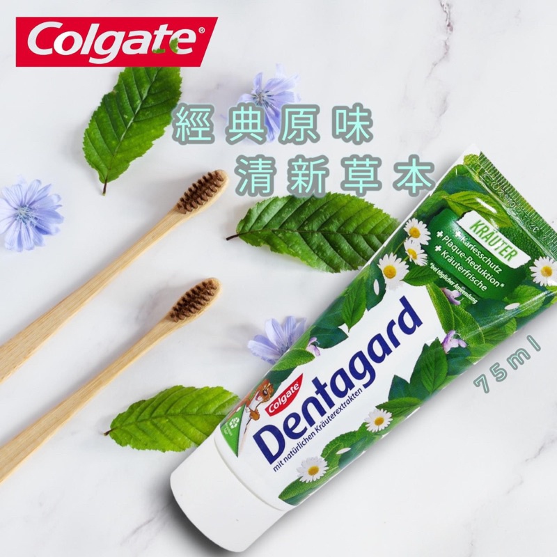 (正品附發票) 現貨🇩🇪 德國 Colgate 經典草本牙膏