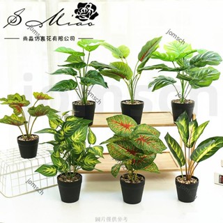 嘉義直發 仿真花盆栽 模擬綠植 辦公室盆栽 假花紅線萬年青葉子盆景仿真花創意室內擺件裝飾模擬綠植盆栽