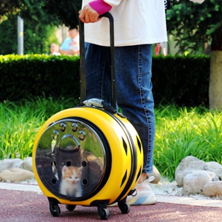 寵物外出包 拉桿 機車可載 寵物背包 寵物拉桿包 大 貓咪外出包 寵物拉桿箱 寵物外出 貓咪拉桿包 狗狗外出包