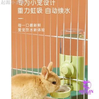 🚛獨家精品🚛潔西兔子水壺兔飲水器掛籠子出水碗喝水兔兔用品龍貓荷蘭豬飲水機lucy881200250