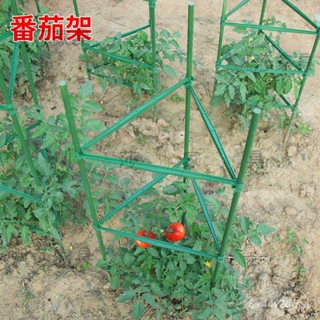 【廠傢直銷🚛】西紅柿架子番茄支撐架黃瓜爬藤架火龍果支撐架子園藝盆栽瓜果架子菜架水果架