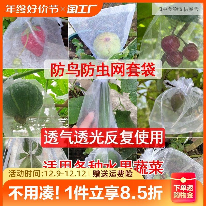 水果套袋果實網袋番茄葡萄無花果草莓防蟲防鳥保護袋透氣網套小型 農用