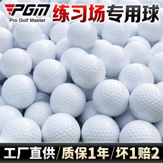 PGM 高爾夫練習場專用 高爾夫練習球 空白雙層球 全新 高爾夫球 BOHZ