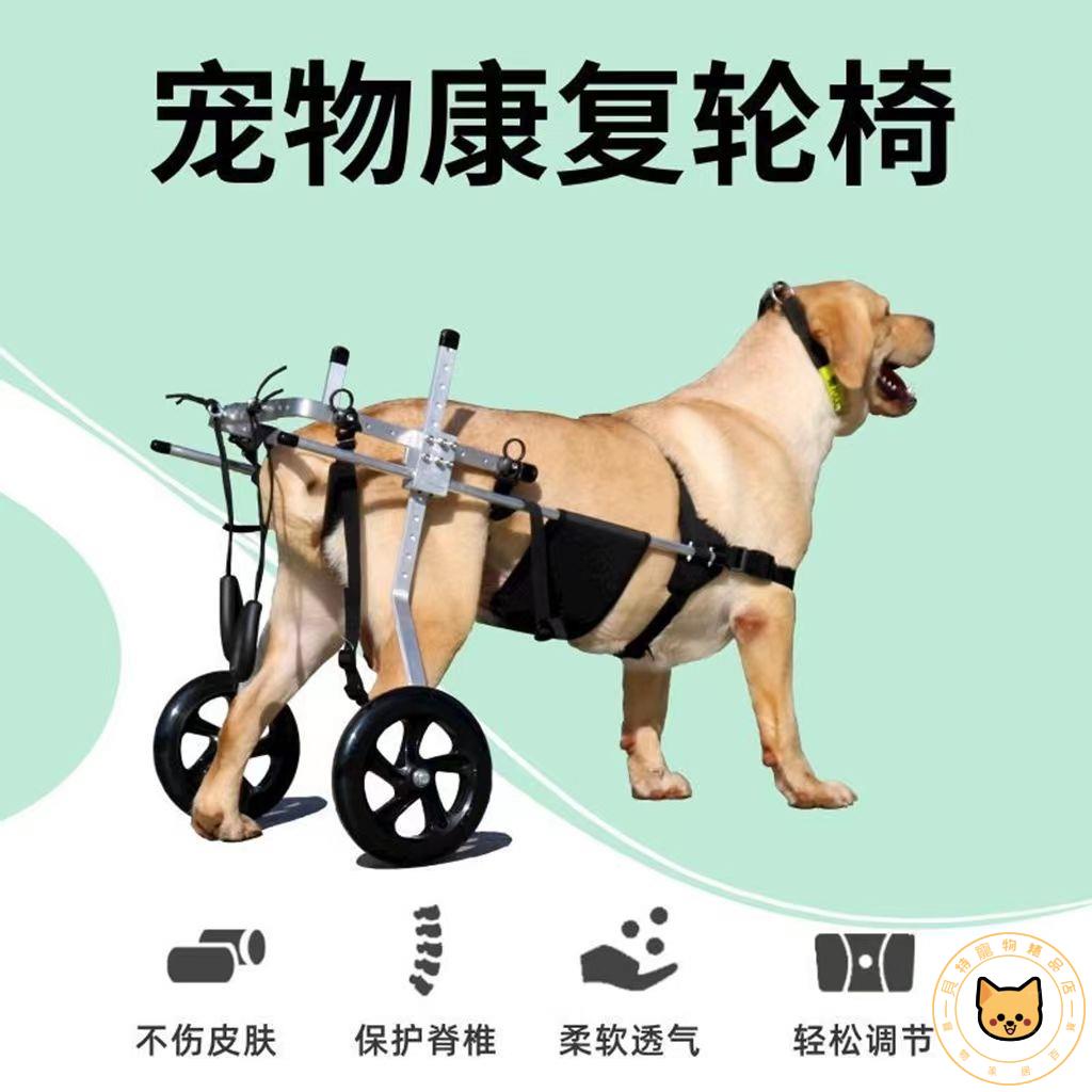 【免運】中大型狗輪椅車后肢康復訓練脊椎炎癱瘓殘疾輔助后腿支架犬代步車