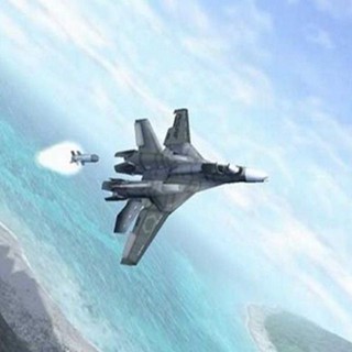 電腦玩 夜鷹行動 中文版 空戰飛行類 PC電腦單機遊戲光碟 光碟