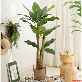 【免運】2023大型模擬大葉子芭蕉樹裝飾仿生綠植室內造景高階植物假樹擺件WS傢俱館2店