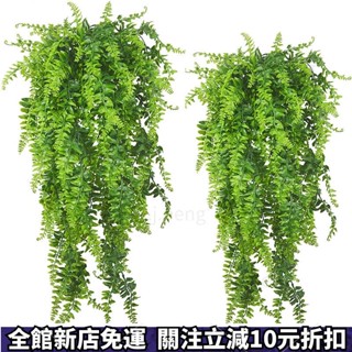 熱賣中✈ 模擬假植物 蕨類人造植物 模擬假植物 波斯草藤條 模擬吊掛 小盆栽室內植物假蕨類 園藝裝飾 拍照道具 拍照佈景
