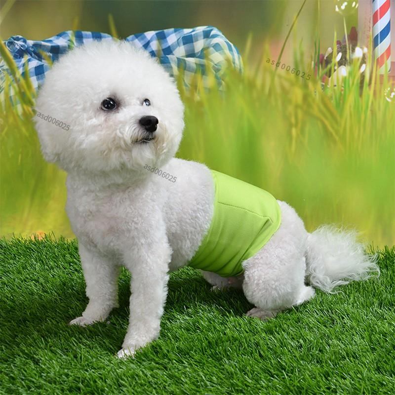 🌈台灣出貨🌈寵物用品 寵物生理帶 公狗禮貌帶大狗防水生理帶可重複使用尿布