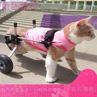 ✨現貨直銷 限時免運✨貓咪輪椅車癱瘓骨折寵物后腿脊椎受傷康復訓練車后肢殘疾代步推車