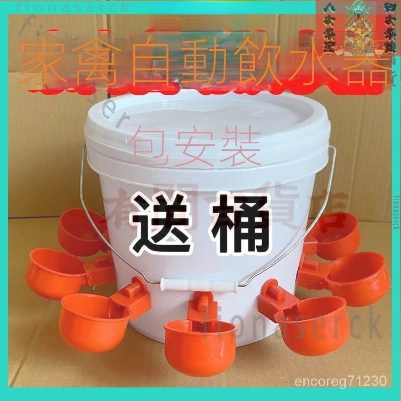 【臺灣熱賣】傢禽飲水器全自動新款餵雞自動飲水器雞鴨鴿子飲水碗養殖水桶