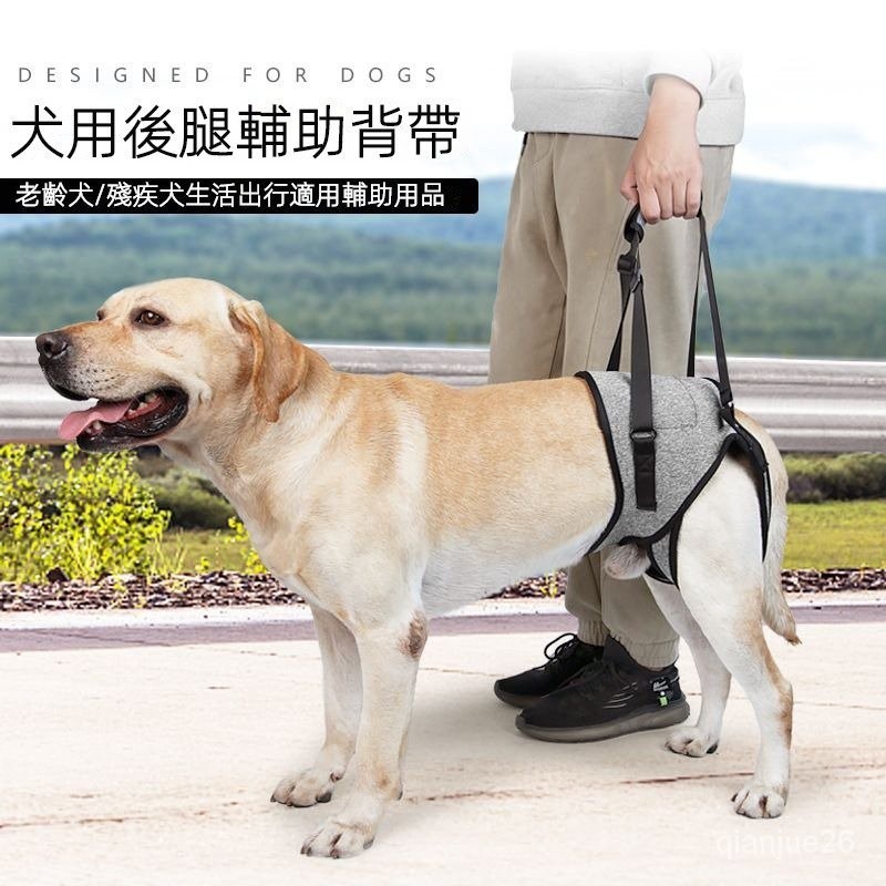 小象狗狗輔助帶 道頓胸背帶 寵物輔助帶 殘疾犬後腿支架 老年癱瘓犬輔助行走器
