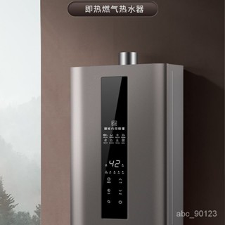 瓦斯熱水器卽熱智能恆溫傢用天然氣液化氣強排式防凍12L13L