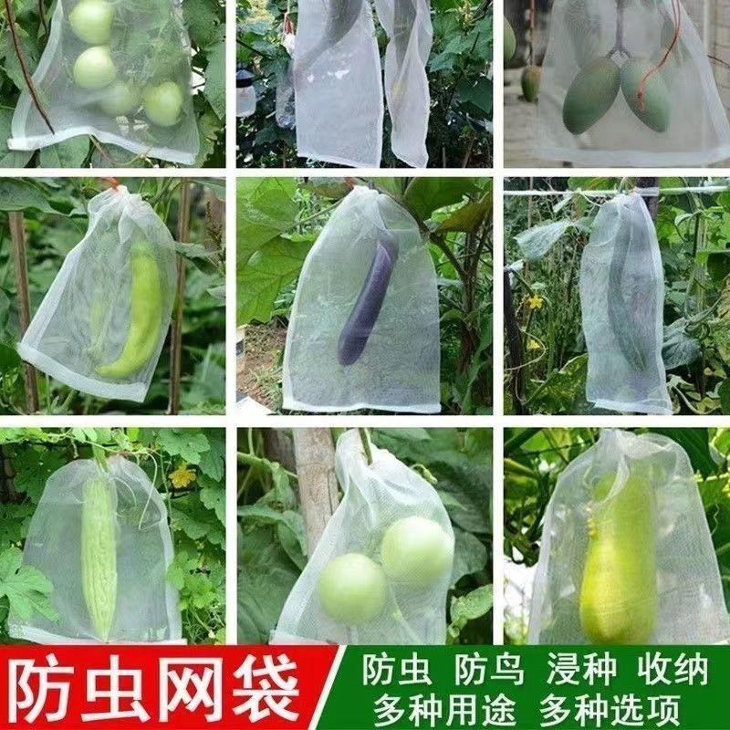 套果袋尼龍網袋紗網袋袋子防鳥網防蟲水果防蟲網袋草莓透氣專用袋TQJN
