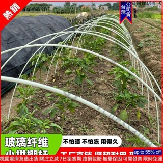 💜桃園出貨 💜桃園出貨 園藝用品 小拱棚支架 實心玻璃縴維桿 蔬菜保暖棚支架 溫室棚支架 大棚