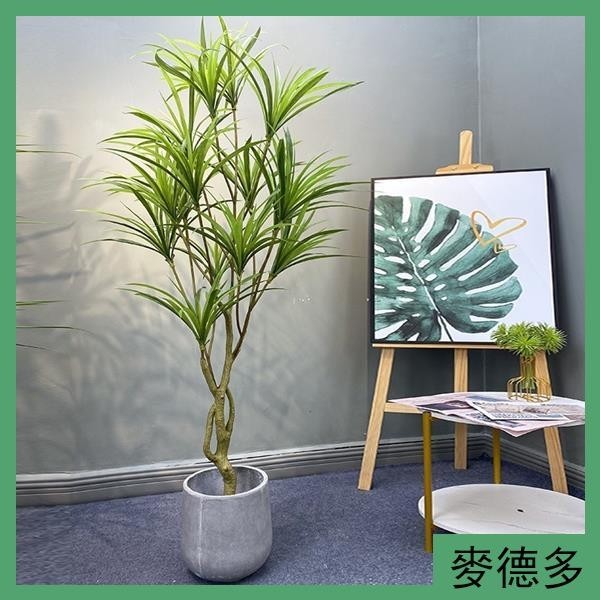 ❤️台灣熱賣❤️仿真吊蘭樹 巴西鐵龍血樹假植物 家居室內商場櫥窗 擺放裝飾落地盆栽 假樹 假植物