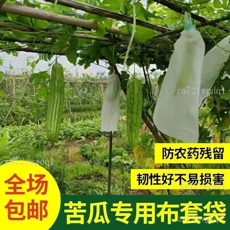 👣拾街👣防蟲網 網袋 水果套袋 水果網袋 果蠅 防鳥網 芭樂套袋 防蟲網罩 水蜜桃套袋 草莓套袋 芒果套袋