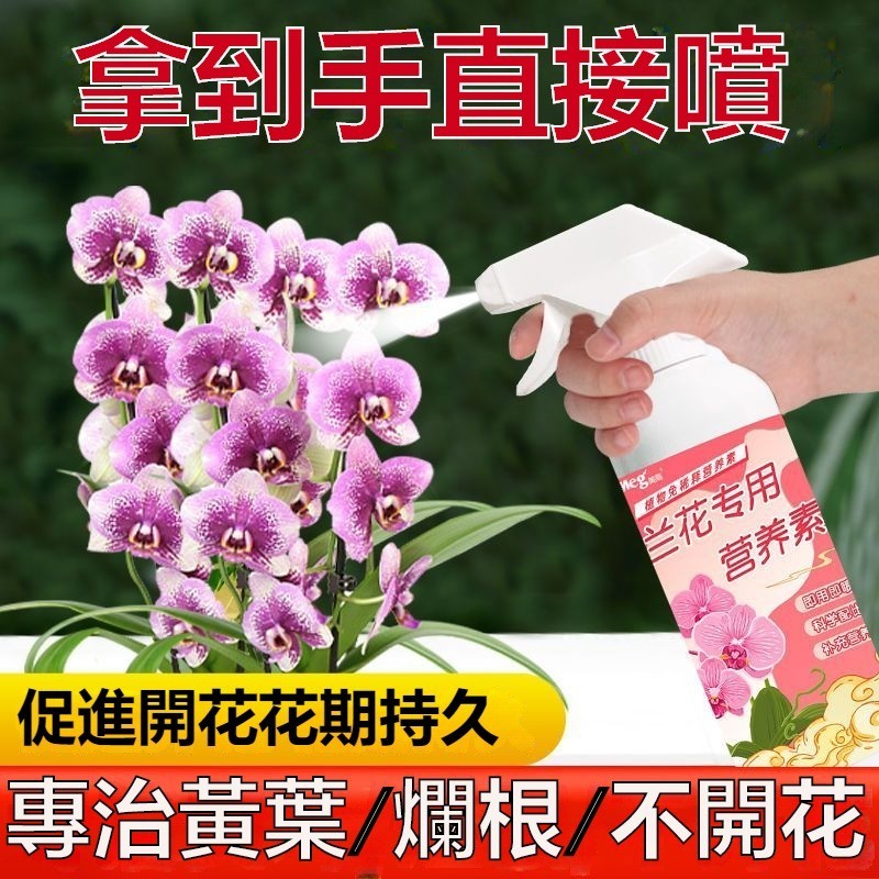 蘭花專用 營養液 肥料 免稀釋 種養 養花 促開花 花卉 蘭科 君子蘭 蝴蝶蘭 盆栽