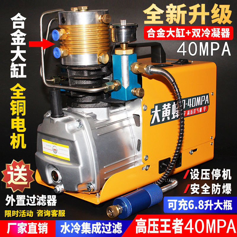 #可面交大黃蜂高壓打氣機30mpa高壓氣泵40mpa小型單缸水冷電動充氣泵衝氣