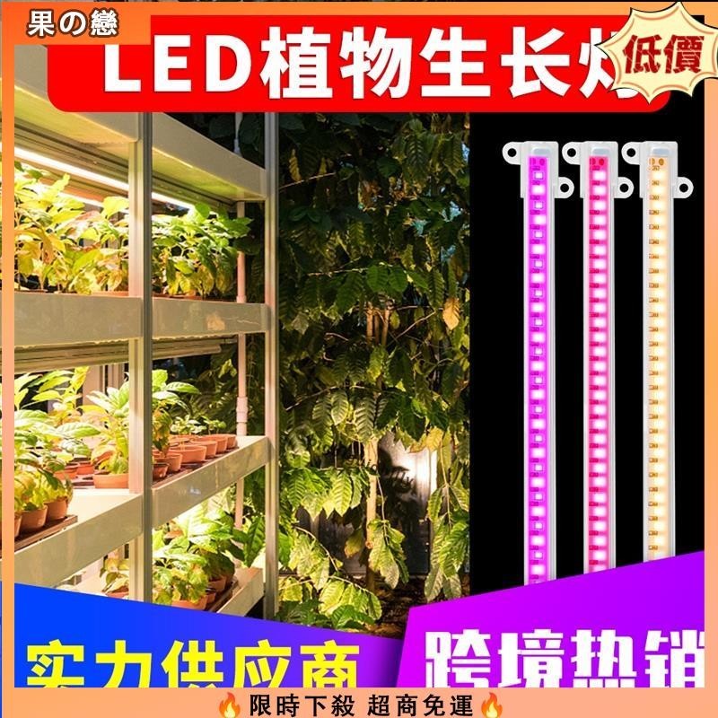 【台灣免運】全光譜LED植物生長燈管USB可調光定時5V室內家用水培植物燈條園藝花卉幼苗植物種植櫥櫃架專用補光燈防水太陽