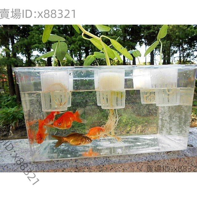 送禮物 家庭魚菜共生系統 生態草缸烏龜水族箱 小型透明金魚缸 造景花瓶桌面綠植 MBPB⚡️活動價