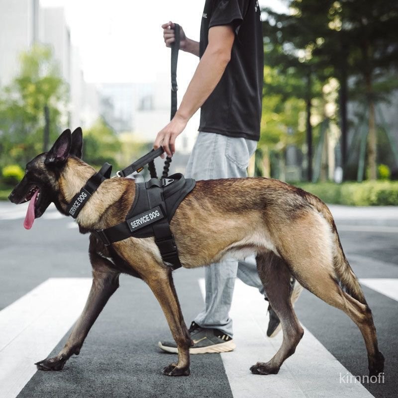 防暴衝胸背帶  狗狗胸背帶 防掙脫胸背帶  狗狗戰術背心 胸背帶衣中大型犬背心式 防爆衝牽引繩牧毛遛鏈子 Q8AY