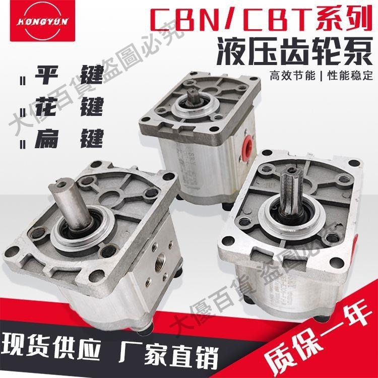 液壓齒輪泵油泵總成CBN-F310/314/316/20/25小型高壓油泵大全泵頭