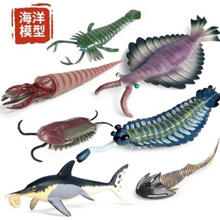 🎊新品下殺🎊兒童認知 模擬海洋3d動物模型 玩具 寒武紀 遠古生物 奇蝦 鸚鵡螺 擺件