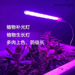 led 植物燈 全光譜 植物生長燈 植物日照燈 植物燈管 多肉燈 補光燈 LED全光譜植物燈 生長燈管 傢用USB多肉補