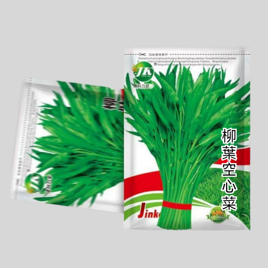 🔥買2送一🔥A30 空心菜種子 柳葉空心菜種子 一袋10g約200粒 蔬菜種子 原廠包裝 對版出貨 發芽率高95%