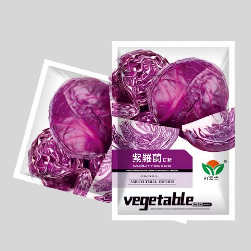 🔥買2送一🔥A160 紫羅蘭甘藍種子 包菜種子紫色圓白菜 蔬菜種子 一包約300粒 原廠包裝 對版出貨 發芽率高95%