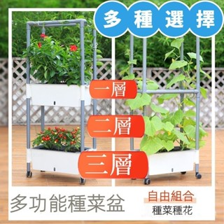 免運 栽培箱 雙層種植箱 陽臺懶人蔬菜陽臺草莓 多層種菜盆 傢用 長方形 雙層種植箱 組閤式有機種植箱 雙層