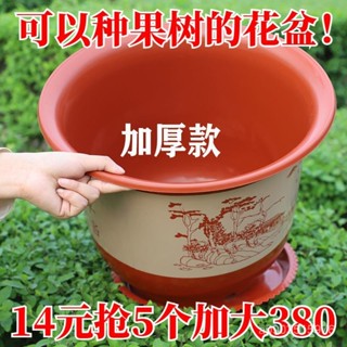 【臺灣出貨】花大爺大花盆 花盆 加侖盆 控根盆 青山盆 5~7加侖 塑膠花盆 盆器 託盤 園藝 ISFW