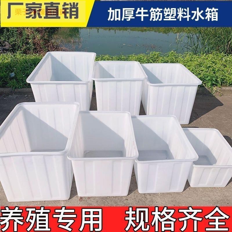 加厚牛筋水箱塑料水箱長方形水產養殖箱賣魚養魚箱牛筋盆大儲水桶