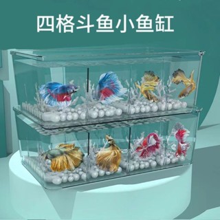 小魚缸 鬥魚專用缸 桌上型魚缸 透明魚缸 小型魚缸 透明小型鬥魚缸 多格網紅桌面魚缸 鬥魚孔雀魚缸