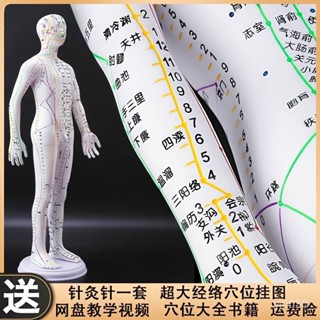 🔥臺灣熱賣🔥針灸穴位人體模型可紮針十二經絡中醫敎學針炙按摩小皮人銅人高畫質 人體模型 穴位模型 針灸模型