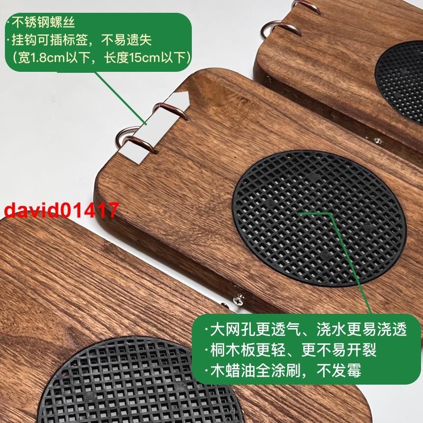 鹿角蕨種植板桐木整板實木漏網亞猴女王二岐鹿角蕨種植板上墻花盆💕下殺##熱銷