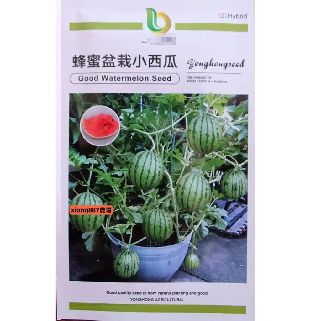 種子💋花大媽種子 💋蜂蜜盆栽小西瓜種子 菜園室內可四季盆栽皮薄甜脆紅壤小西瓜籽