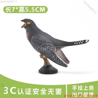 ✨臺灣廠商下殺✨實心兒童模擬動物模型套裝動物玩具 杜鵑 布穀鳥伯勞早教認知禮物lldd818