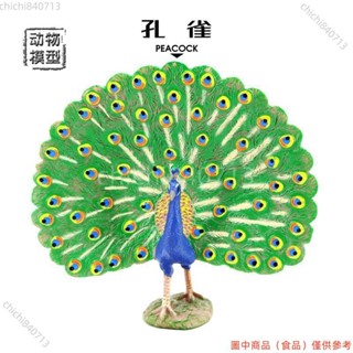 ✨臺灣廠商下殺✨實心兒童模擬動物玩具野生動物模型套裝藍孔雀綠孔雀認知禮品擺件lldd818