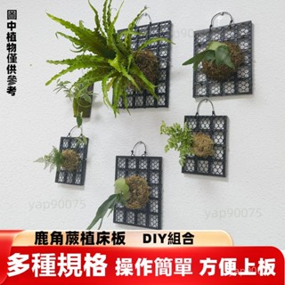 ✨ 植床板 加厚鹿角蕨板 植物板植物框 植壁掛石斛蕨類板 美植闆 樹皮板 懸掛裝飾品 植床闆園藝掛板 塑膠植物板透氣板