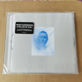 鄉村Noah Gundersen A Pillar Of Salt M版 未拆 C747