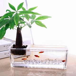 桌麵透明玻璃花瓶水培長方形水養植物容器創意魚缸造景花瓶容器