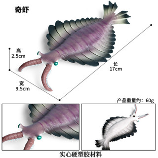 🥂模擬動物🥂兒童科敎史前海洋動物玩具歐巴賓海蠍奇蝦模擬動物模型擺件
