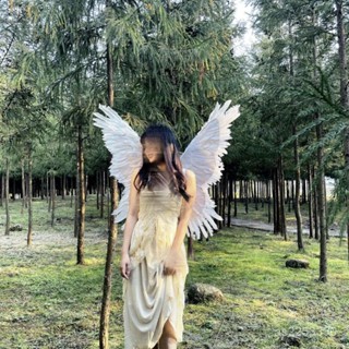 💟臺灣爆款💟蝴蝶翅膀花僊子cos裝扮道具成人寫真走秀花童裝飾羽毛翅膀禮品 0OLF