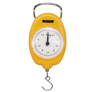 5kg Mini Small Electronic Spring Portable Portable Scale Sho