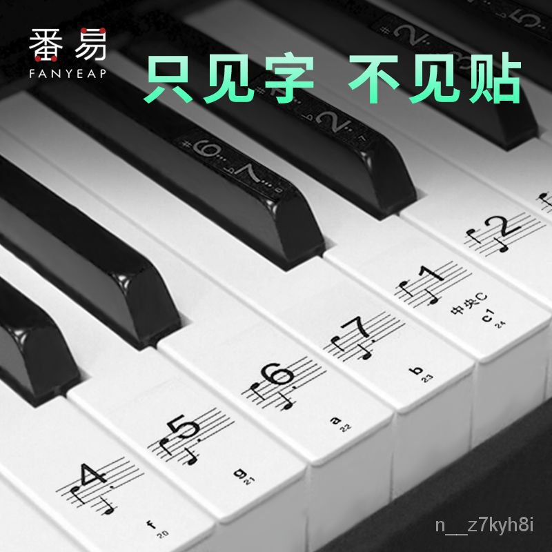 賣場推薦！鋼琴鍵盤貼紙 / 88鍵透明貼電子 琴音符音標琴鍵貼61鍵簡譜五綫譜 MAVS