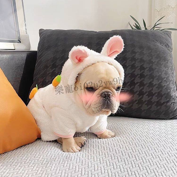 寵物衣服 小狗衣服 小型犬可愛衣服 法鬥巴哥保暖衣服 兔年四腳衣英法鬥噁霸犬巴哥胖狗過新年喜慶加絨厚寵物衣服冬大碼